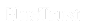 Company Logo Footer