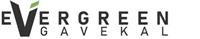 Advisor Logo